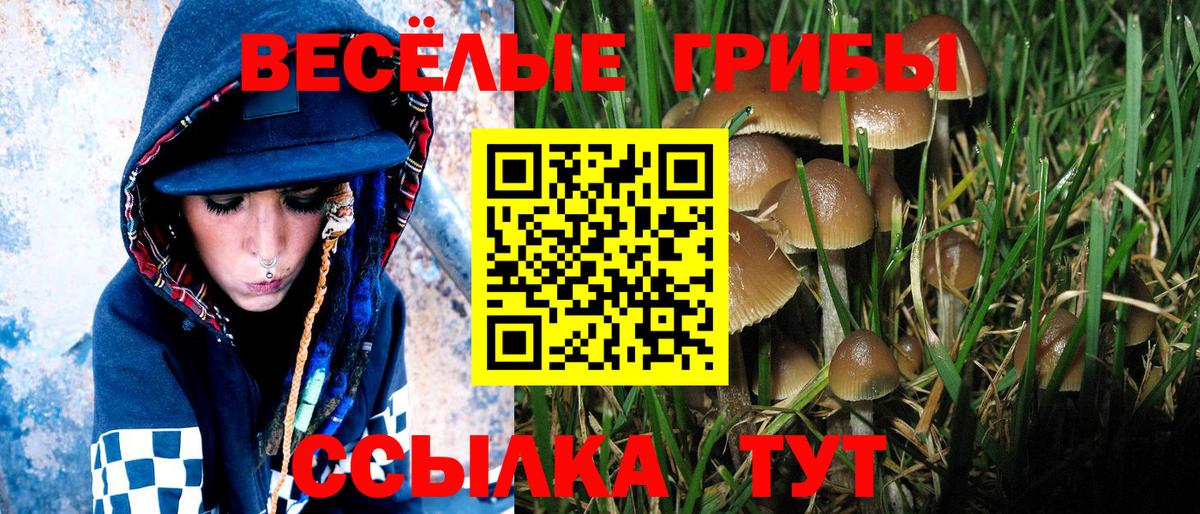 Полевской  Псилоцибиновые грибы Cubensis  Вход с VPN  Псилоцибиновые грибы мицелий 